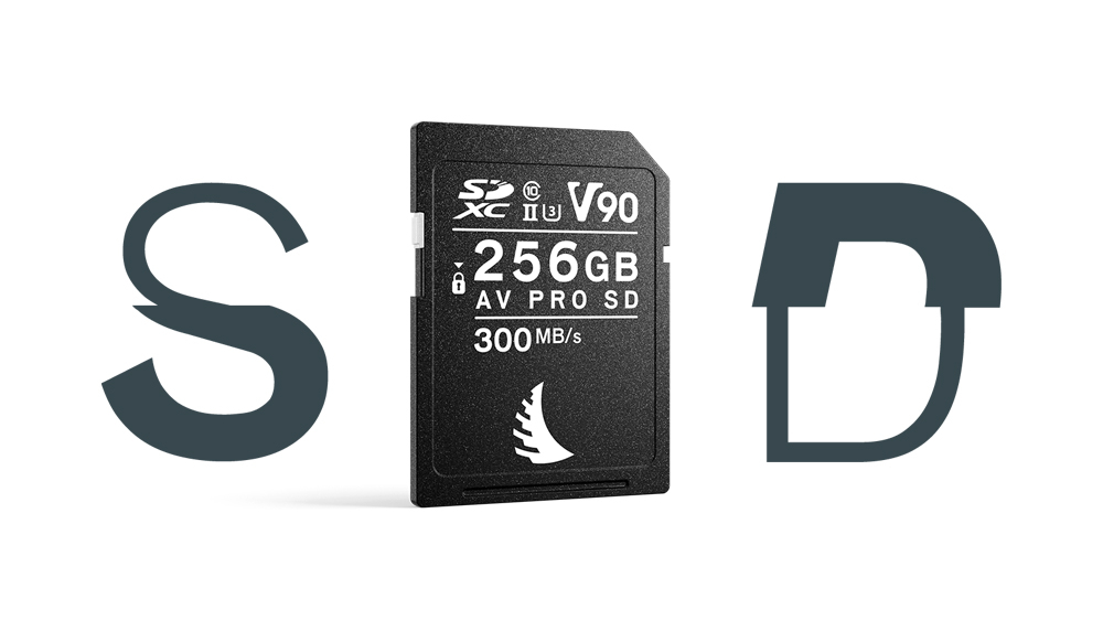 Angelbird AVpro SD (V90) - 256GB