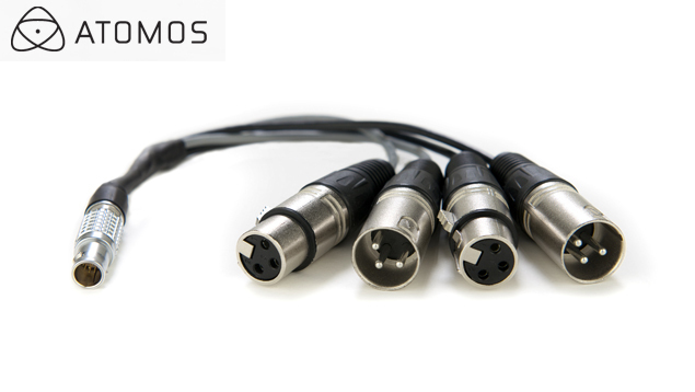 Atomos Lemo to XLR Breakout Cable